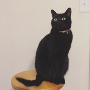 Meet your Posher, Catherine